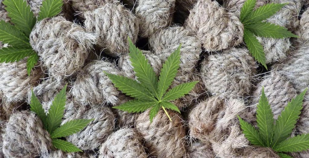 Amazing things with Hemp