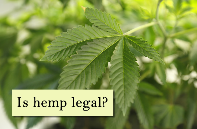 Is hemp legal?