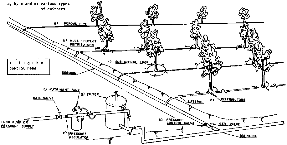 Irrigation System Design