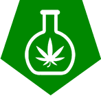 Cannabis Extraction