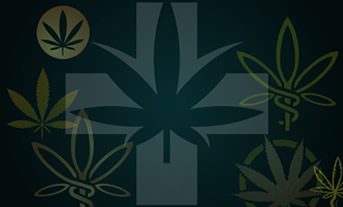 Dispensary Branding and Identity Design