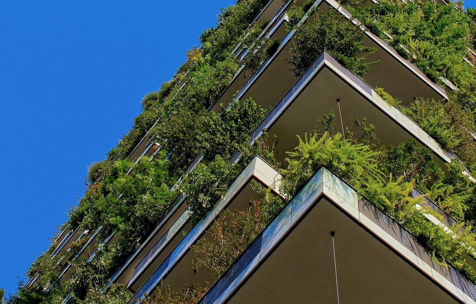 Green Development Innodez
