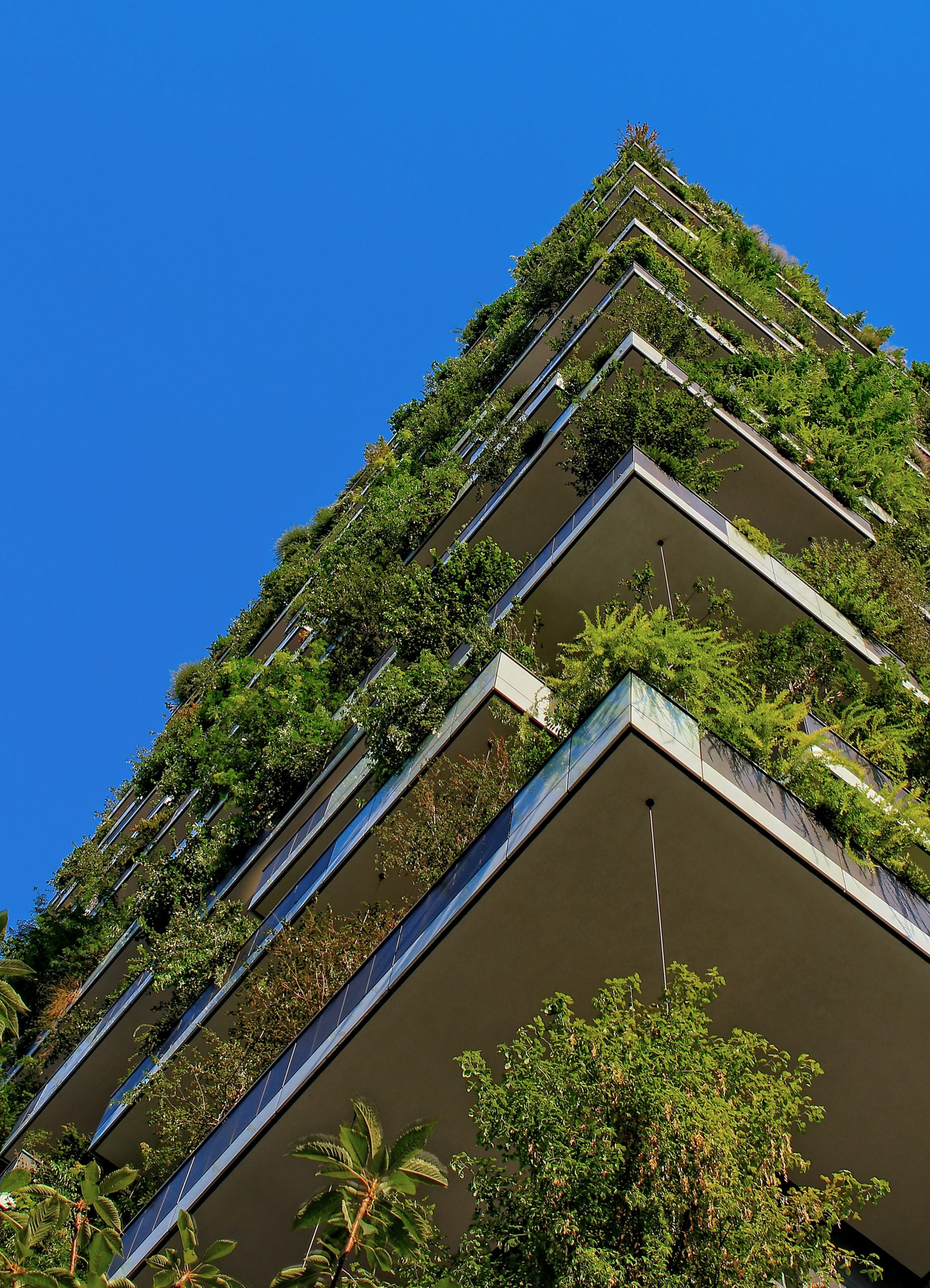 Green Development Innodez