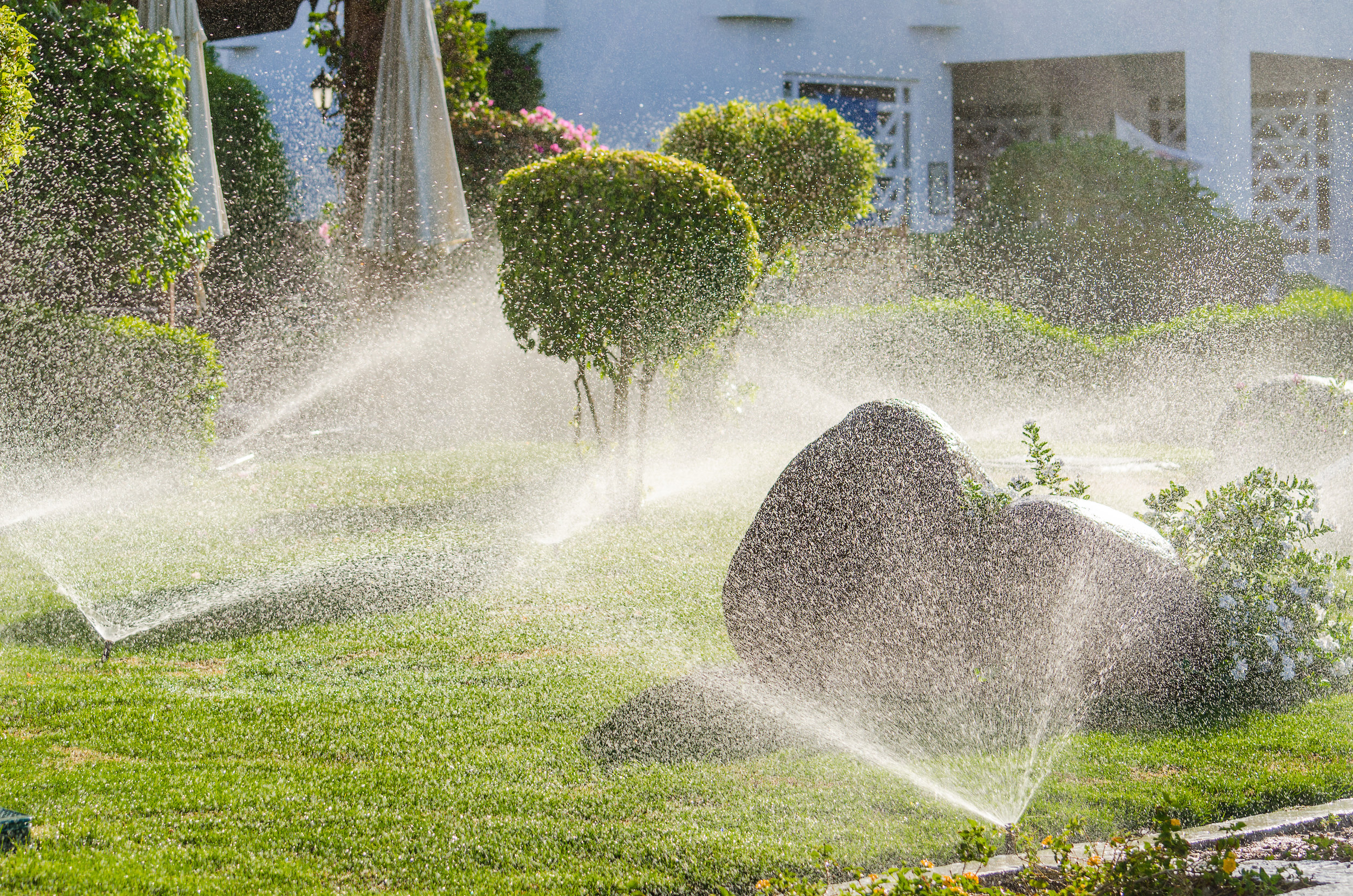 Irrigation System Design