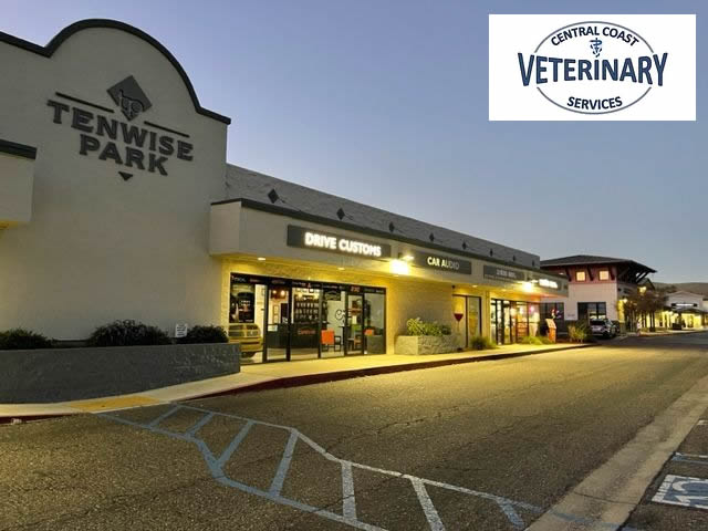 MEP Engineering Veterinary Clinic