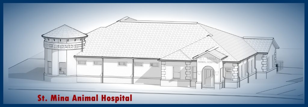 MEP for Veterinary Clinic