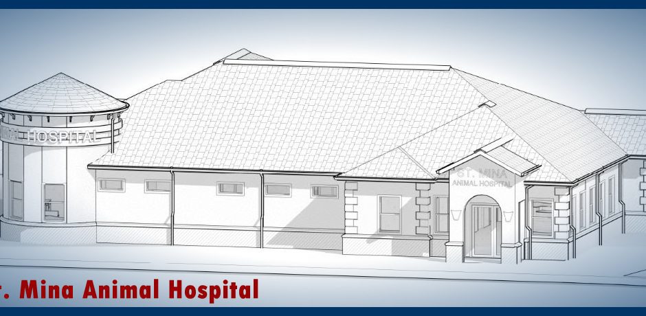 MEP for Veterinary Clinic