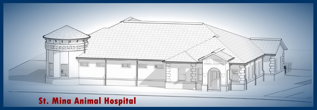 MEP for Veterinary Clinic